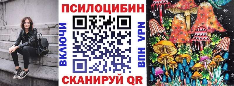 Псилоцибиновые грибы ЛСД  Купить где  Наволоки 